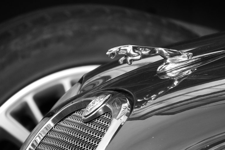 jaguar-expensive-car-car-brand-auto-black-and-white-1369997.jpg