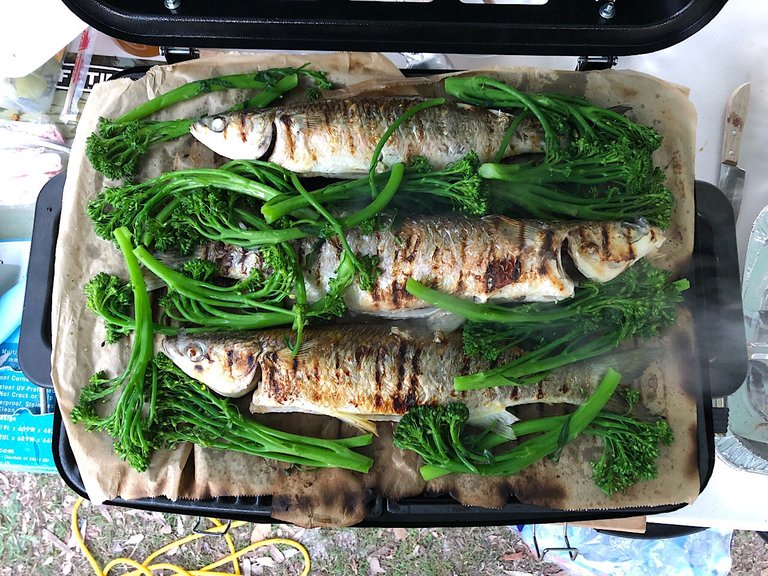 Mullet fish and Broccolini BBQ