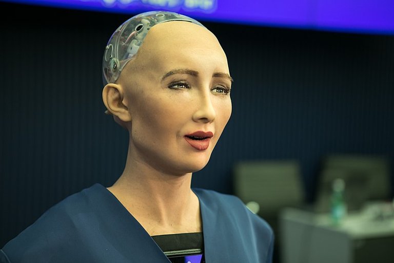 800px-Sophia_(robot).jpg