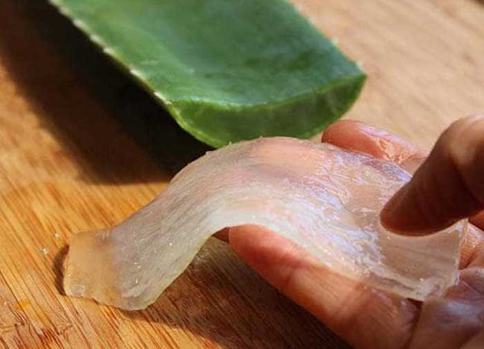 aloe-vera-uses-(pamuh.com)-(5).jpg