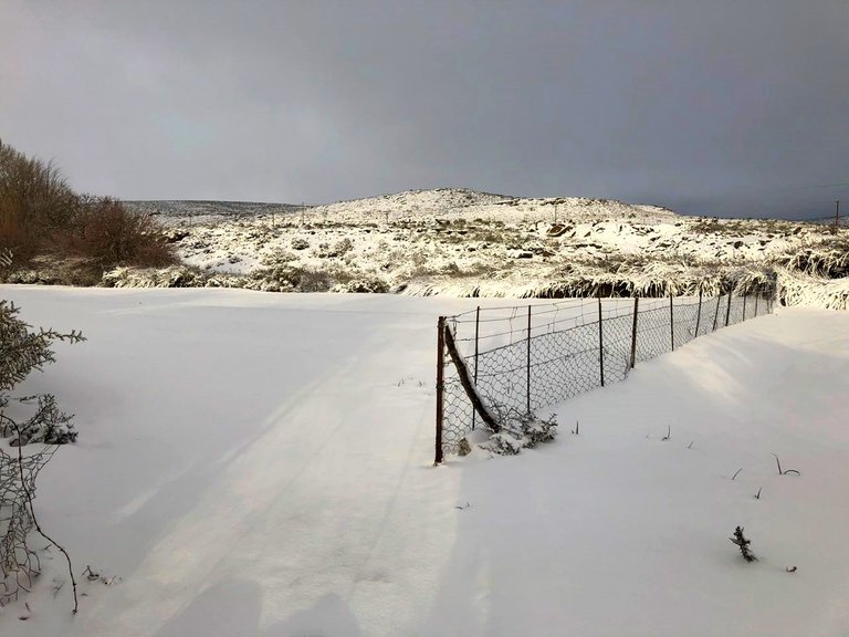 Snowfence.jpg