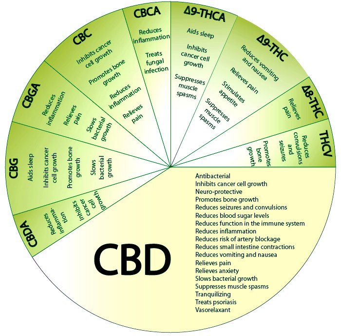 cbdchart.jpg