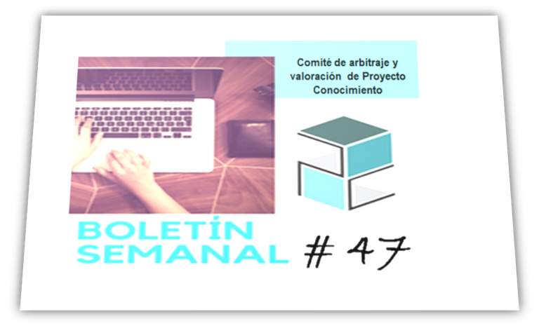 boletin47.jpg.png