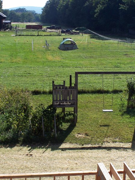 Pasture pen crop September 2019.jpg