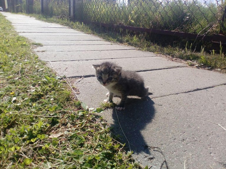 photo_2018-06-28_01-39-01.jpg