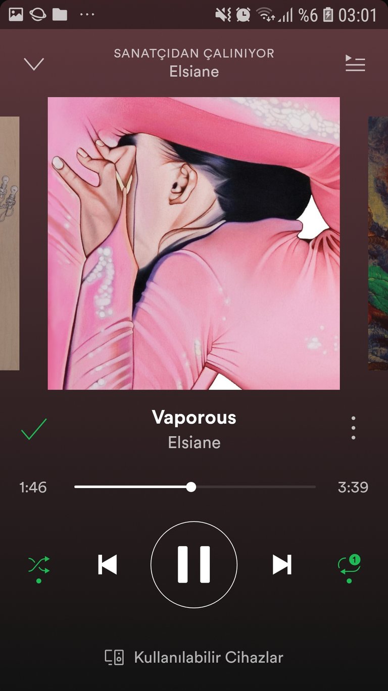 Screenshot_20190323-030145_Spotify.jpg