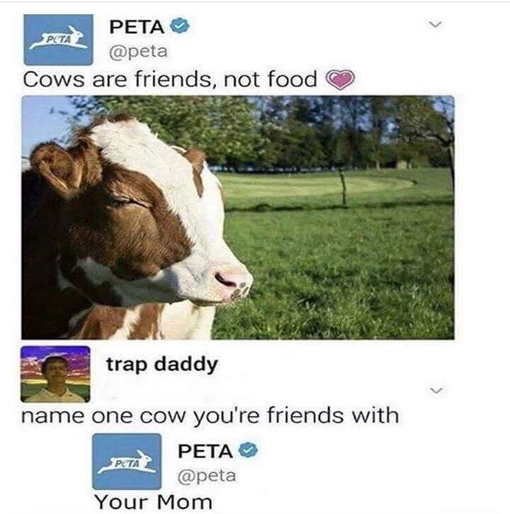 cow friend.jpg