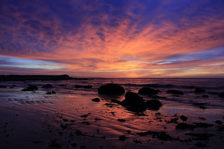 beach-clouds-coast-273934.jpg