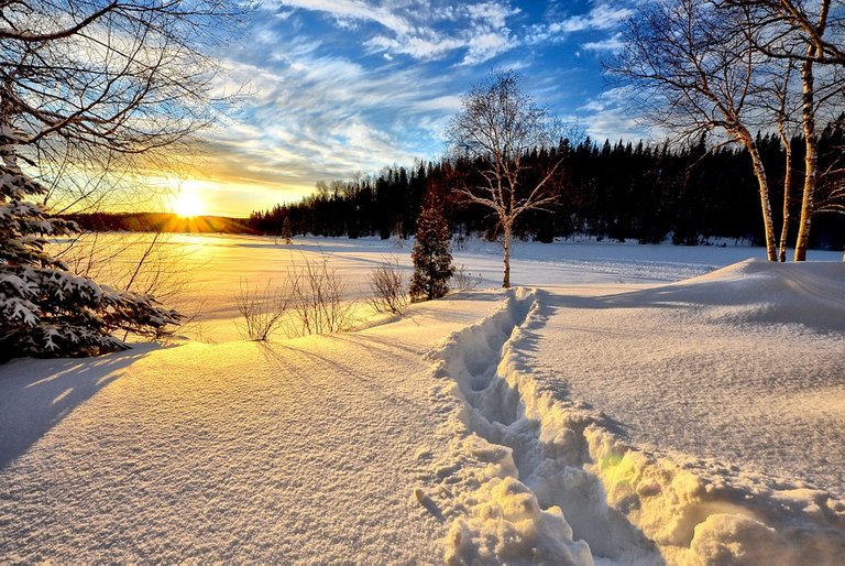 winter-landscape-636634_960_720.jpg