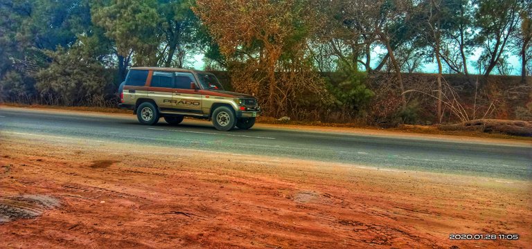 IMG_20200128_110506-01.jpeg