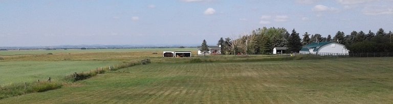 farm 01.jpg