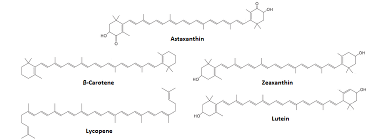 Astaxanthin structure.png