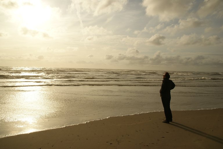 zandvoort-100552_1280.jpg