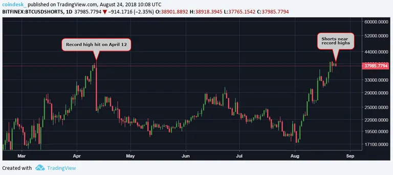 BTCUSD-shorts-1.webp