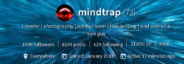 2020-02-20 18_46_17-mindtrap (@mindtrap) — Steemit.png