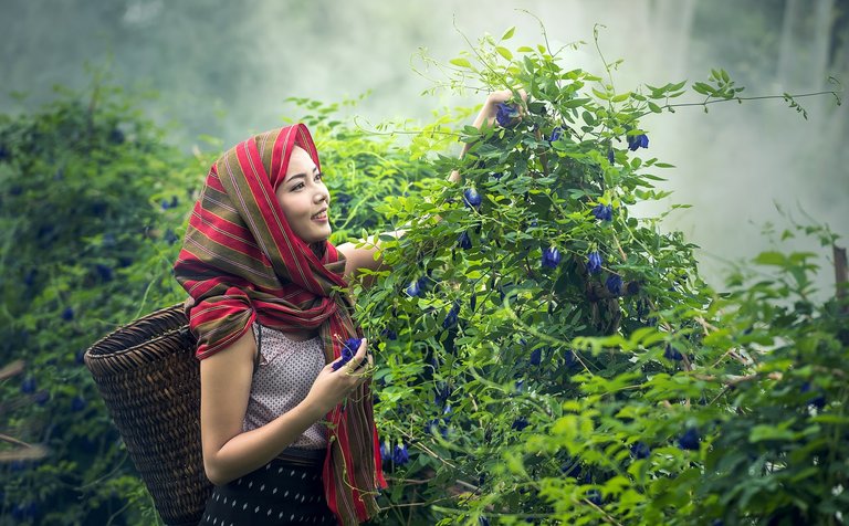 agriculture-1807549_1280.jpg