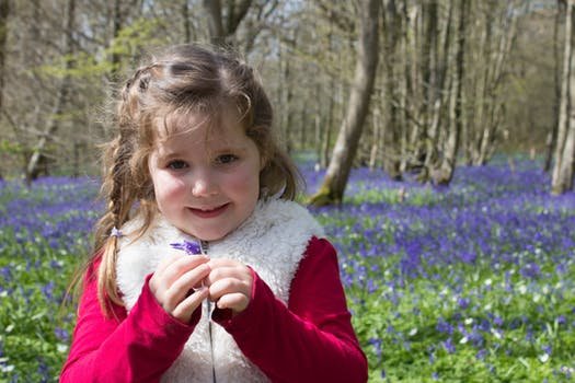 bluebells-woods-english-spring-160972.jpeg