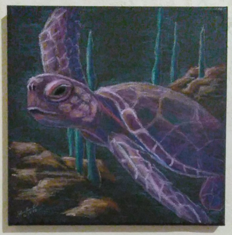 purpleturtleFinal.jpg