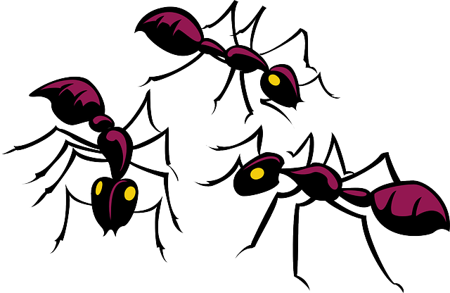 ants-45805_640.png