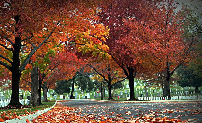 Arlington Cemetery.jpg