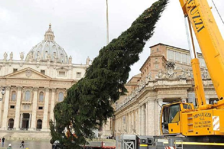 kerstboom1.jpg