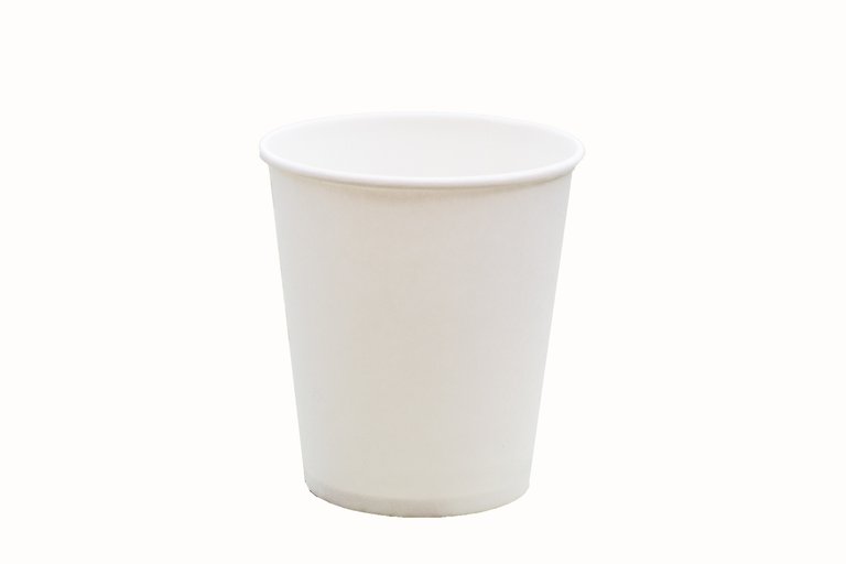 Paper_cup_DS.jpg