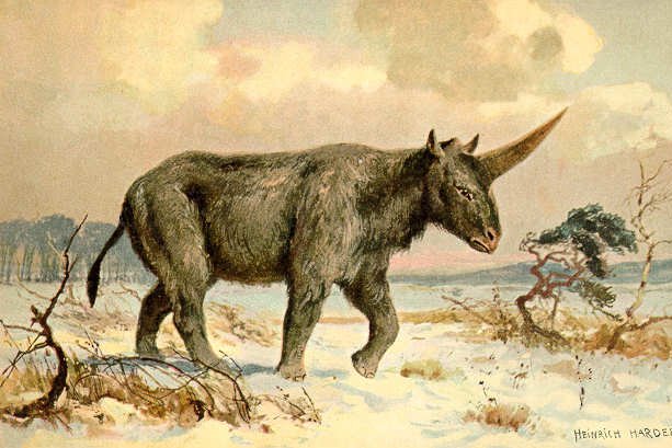 28-Elasmotherium1.w710.h473.jpg