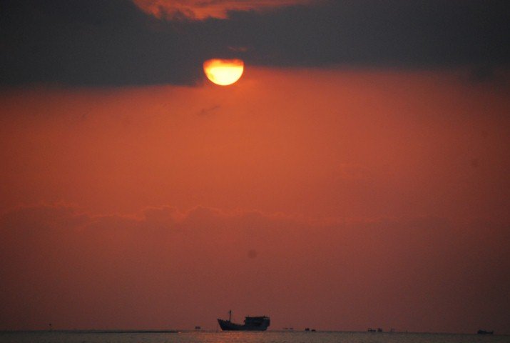 DSC_0242.JPG