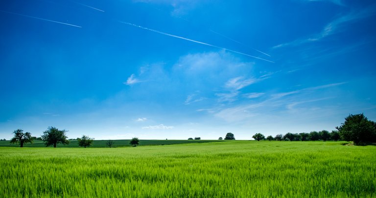 agriculture-bright-clouds-440731.jpg