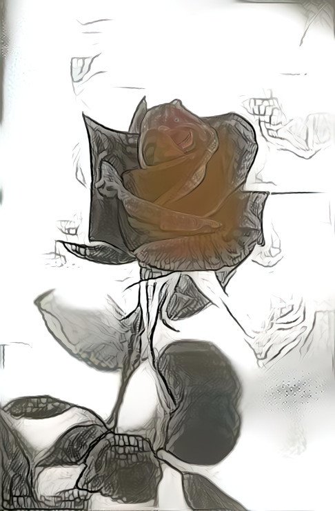 Death's Rose.jpg