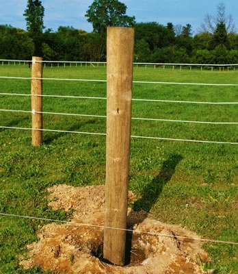 Wooden fence Post.bmp