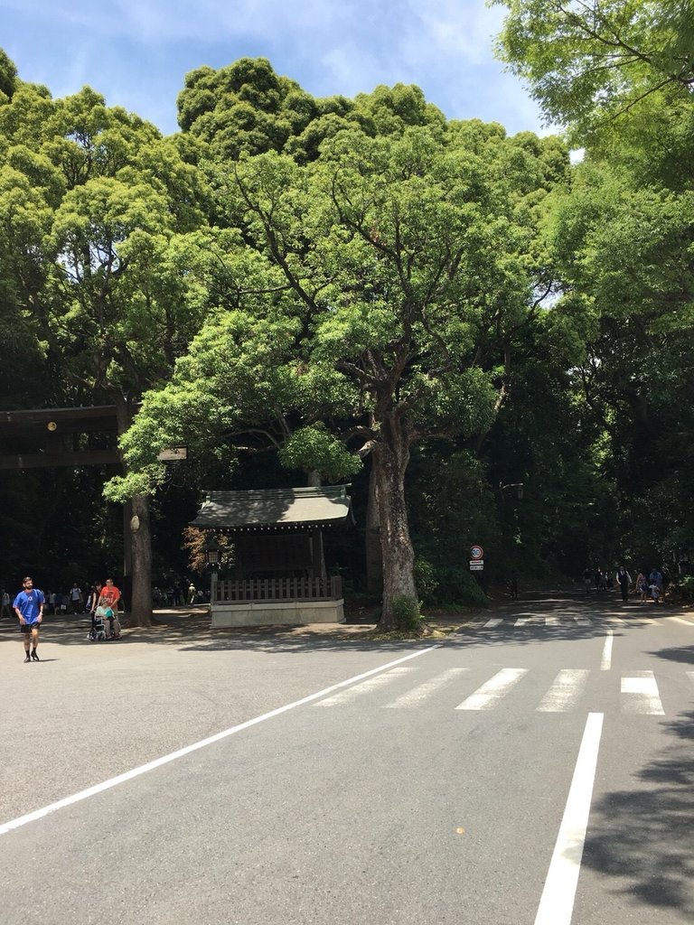 Meiji Shrine 2.jpg