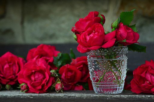 roses-821705__340.jpg