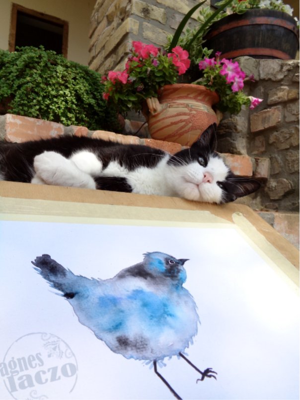 agnes laczo art cat happy life bird watercolor painting drawing grafikus illusztrator.jpg