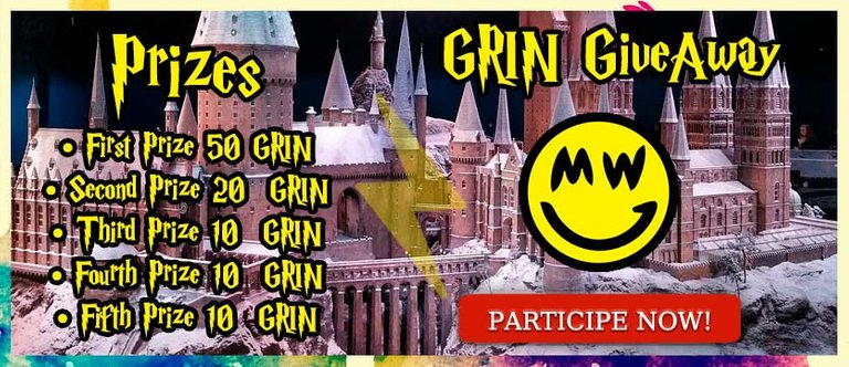 eng-BANNER-CONCURSO-grin.jpg