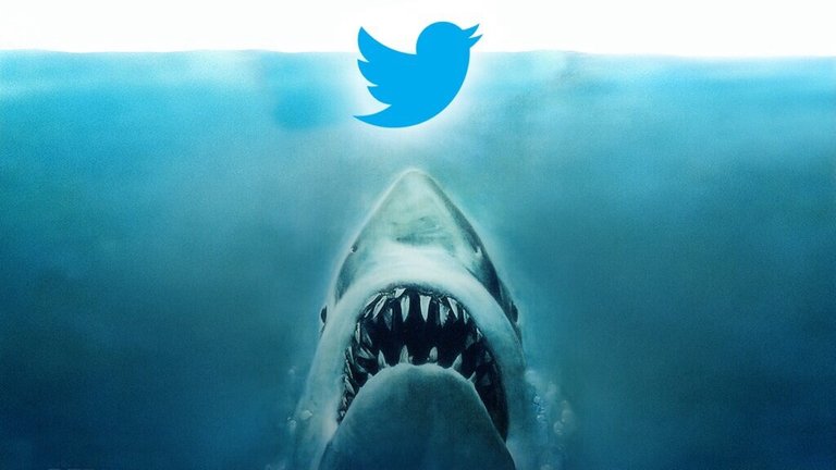 twitter shark.jpg