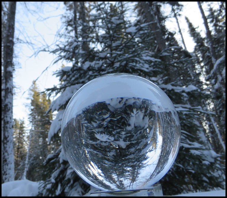 3 Snowy Spruce reflected in crystal globe.JPG