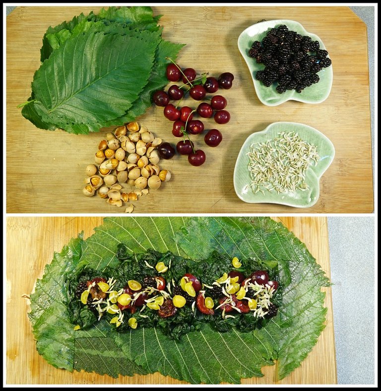 x spinach elm wrap 2.jpg