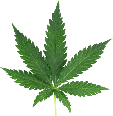 weed.png