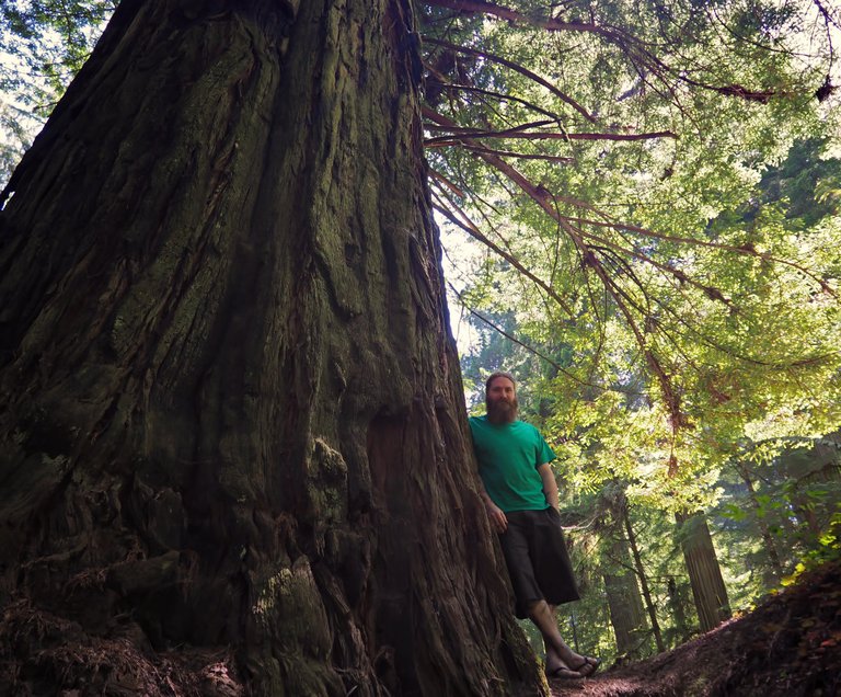 20160526-124219-ben-standing-next-to-giant-redwood-1200.jpg