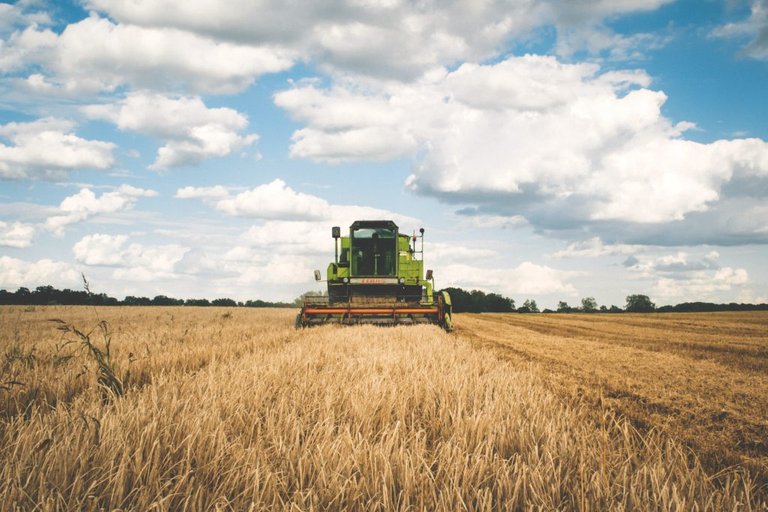 picture-of-farm-1024x683.jpg