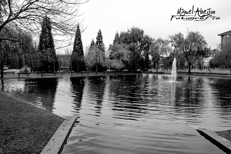 Parke Black and white 2.jpg