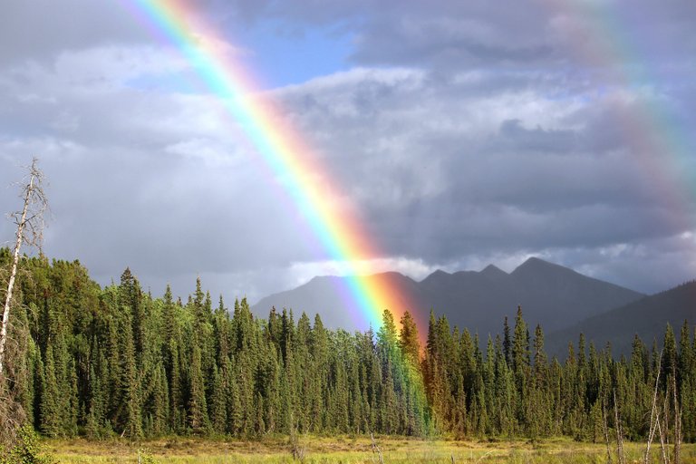 rainbow-436183_1920.jpg