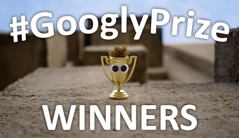 GooglyPrize GooglyEyes Contest