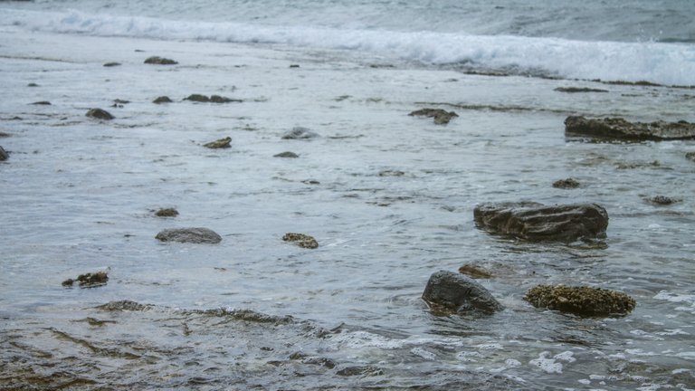 Playa Choroni-14.jpg