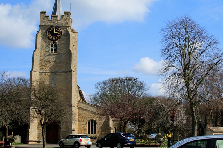 church tree.jpg