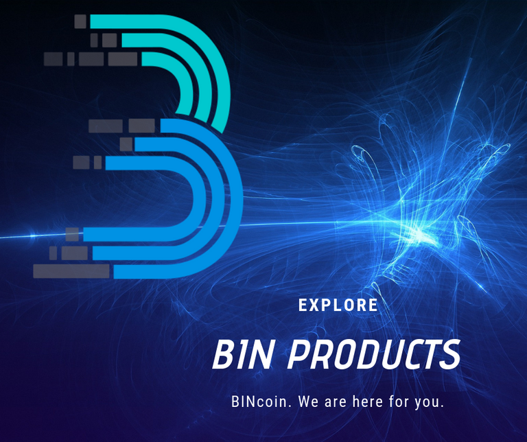 bin products.png