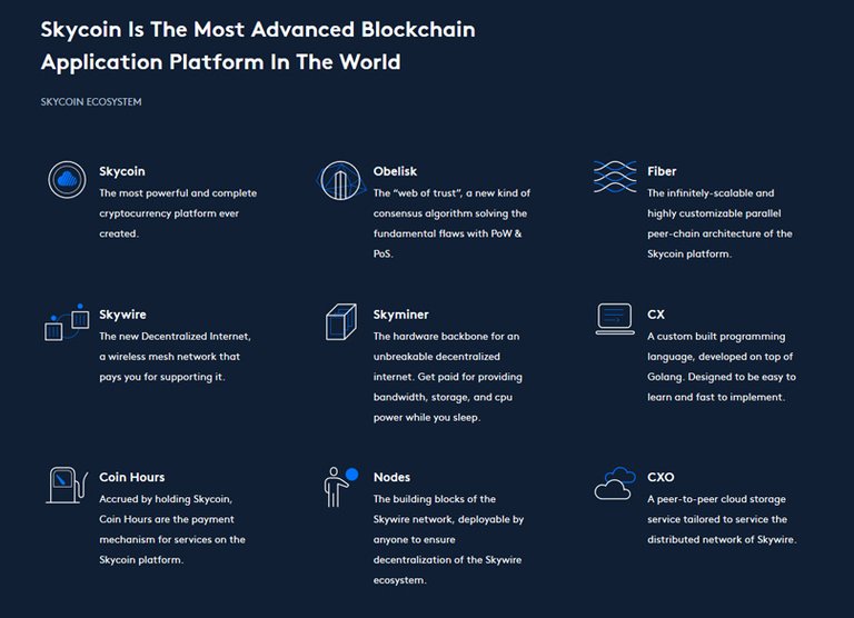 skycoin ecos.jpg