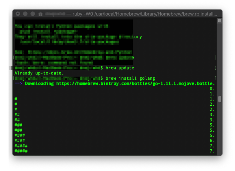 dnejrwhd — ruby -W0 :usr:local:Homebrew:Library:Homebrew:brew.rb install golang — 77×26 2018-10-11 18-05-50.png