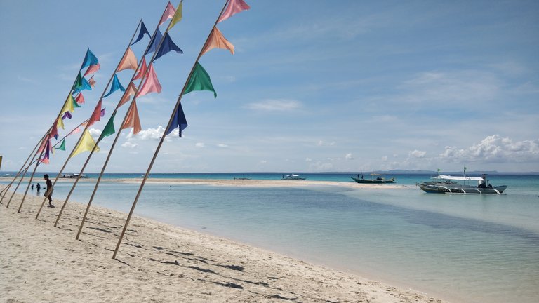 beach flags.jpg